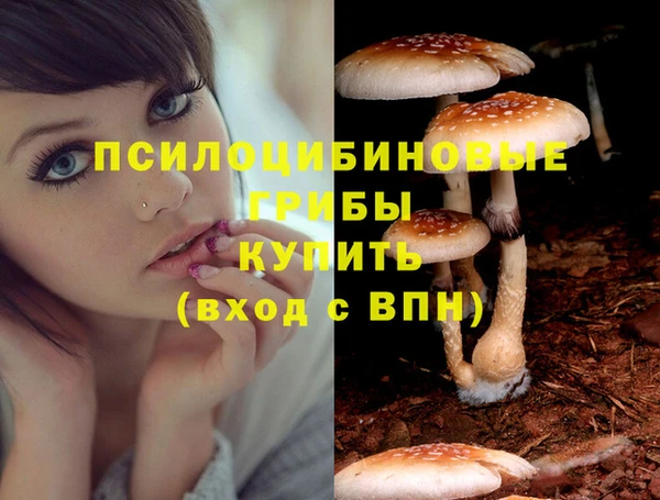 меф Фёдоровский