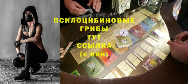меф Фёдоровский