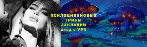 бошки Калининец