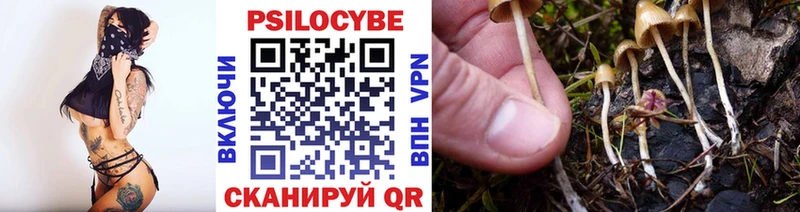 Купить  Ревда  Галлюциногенные грибы Psilocybine cubensis 